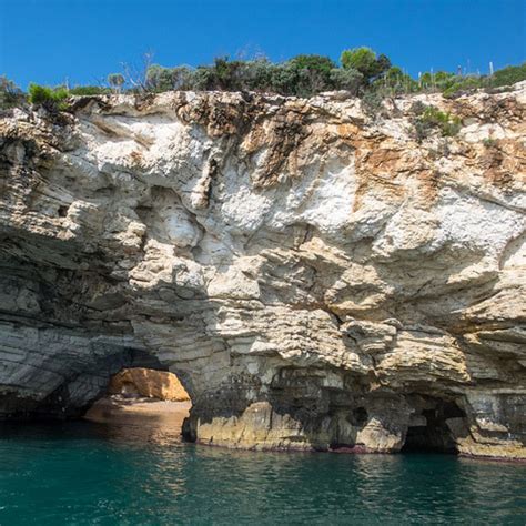 gargona|Gargano .